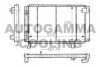 AUTOGAMMA 100808 Radiator, engine cooling